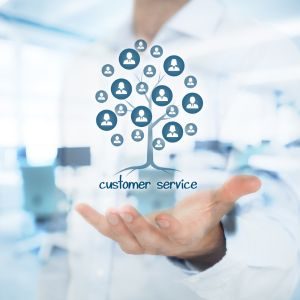 Customer Insights Customer Insights